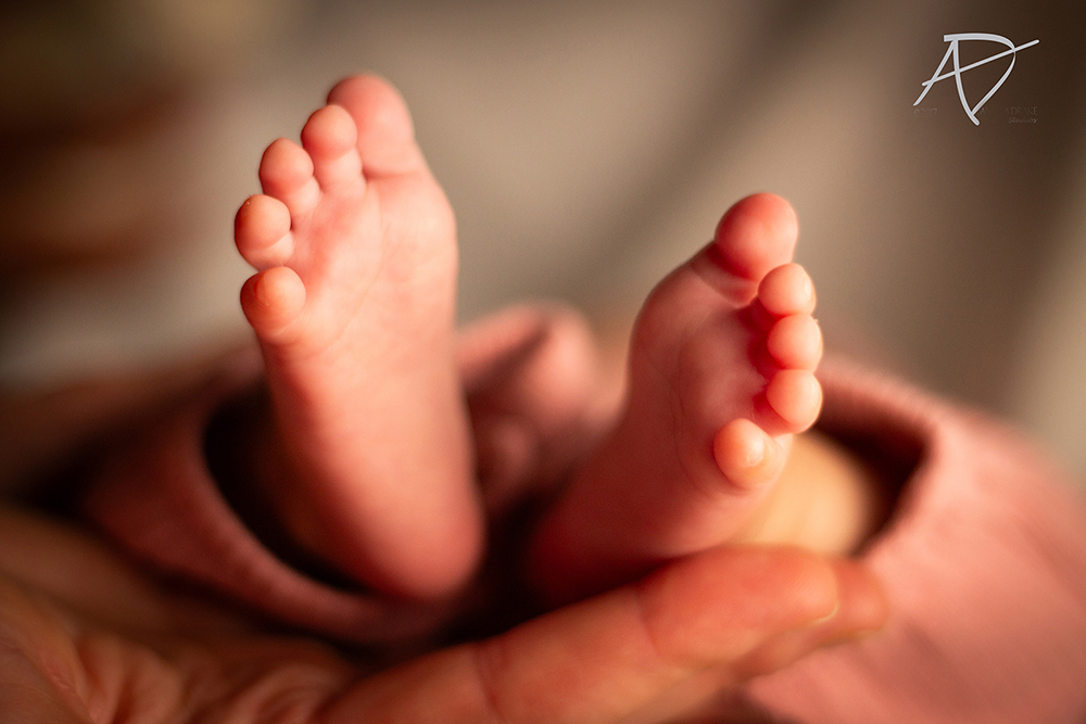 Newborn Portrait