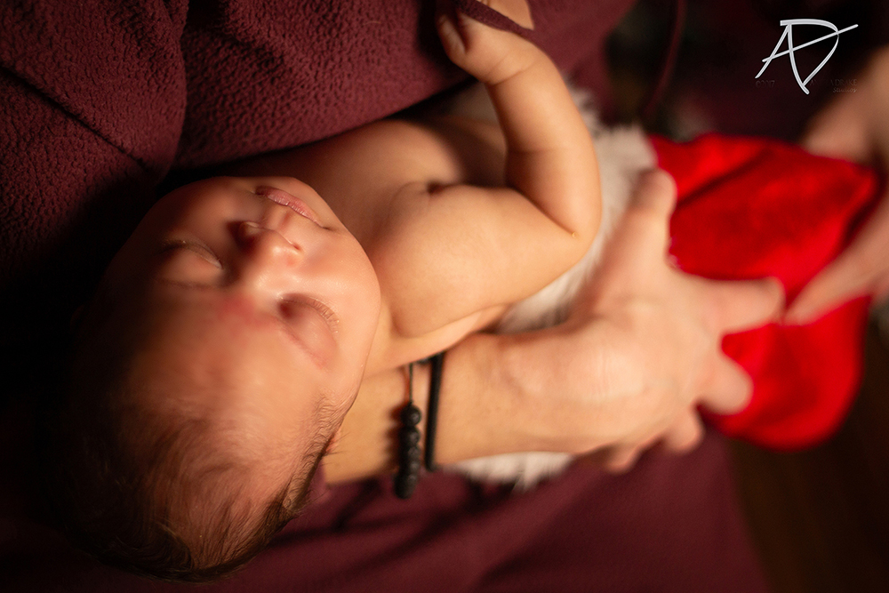 Newborn Portrait